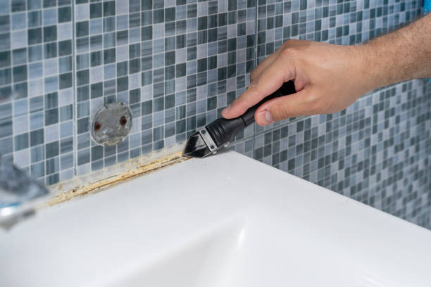 Mold Removal and Inspection in Taft, CA