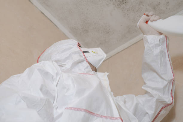 Best Mold Testing  in Taft, CA