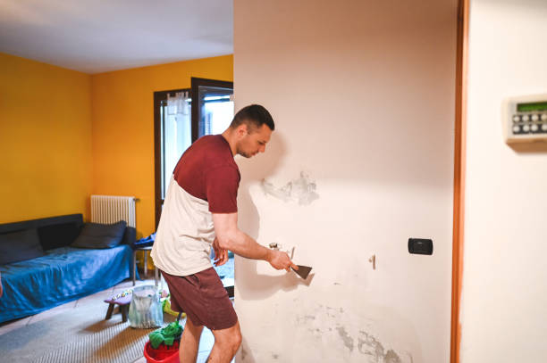 Professional Mold Removal in Taft, CA